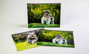 Custom training manuals Sugar Land, TX